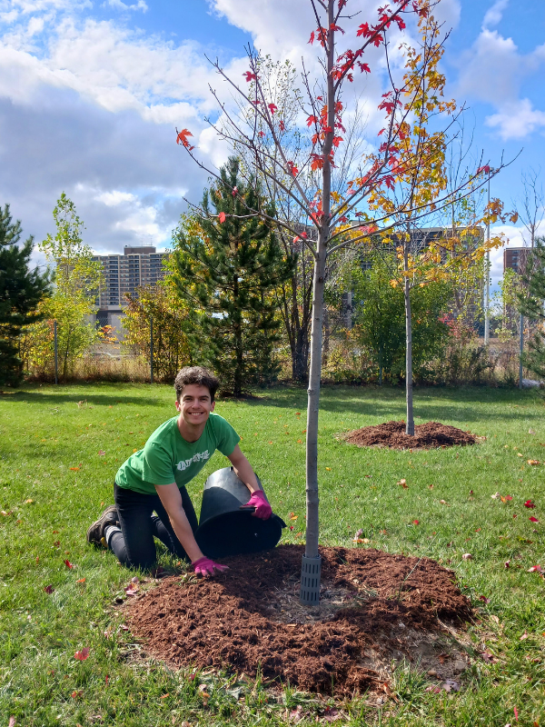 I Wet My Plants! Watering Tips for Healthy Trees | LEAF | Local ...