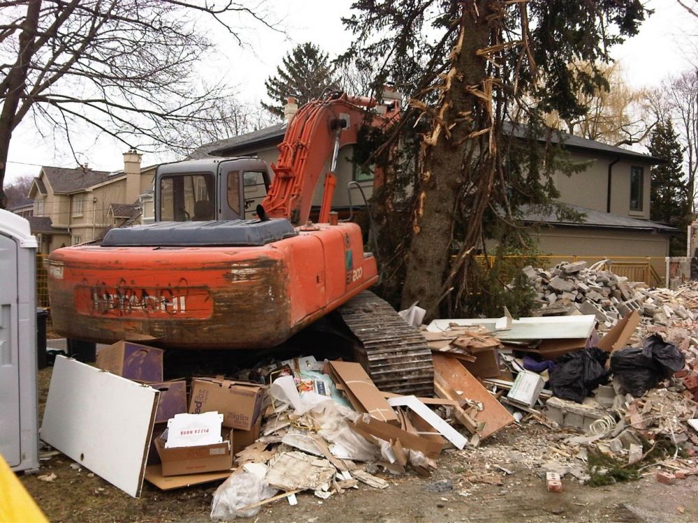 Tree Damage