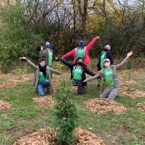 Six people celebrating surrounded by freshly planted trees