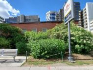 A small, naturalized garden outside the St Clair TTC station