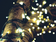 Zoom in of decorative lights around a tree shining prettily at night