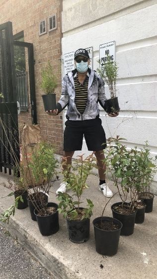 Man standing with shrubs in pots