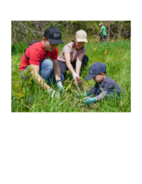 Family with young child planting a tree at a community planting event