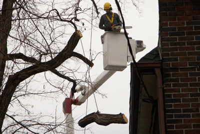 Tree Pruning for storm readiness